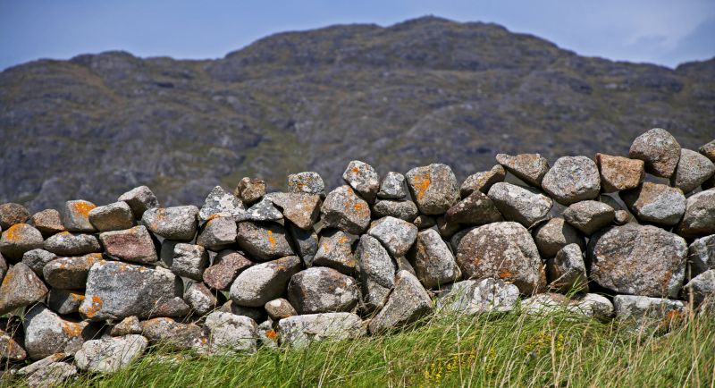 Stone Wall Hardscaping detail